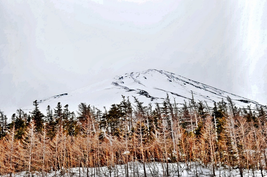 Mt. Fuji