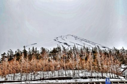 Dragons and Goblins: Exploring Mt. Fuji and Japan’s Countryside