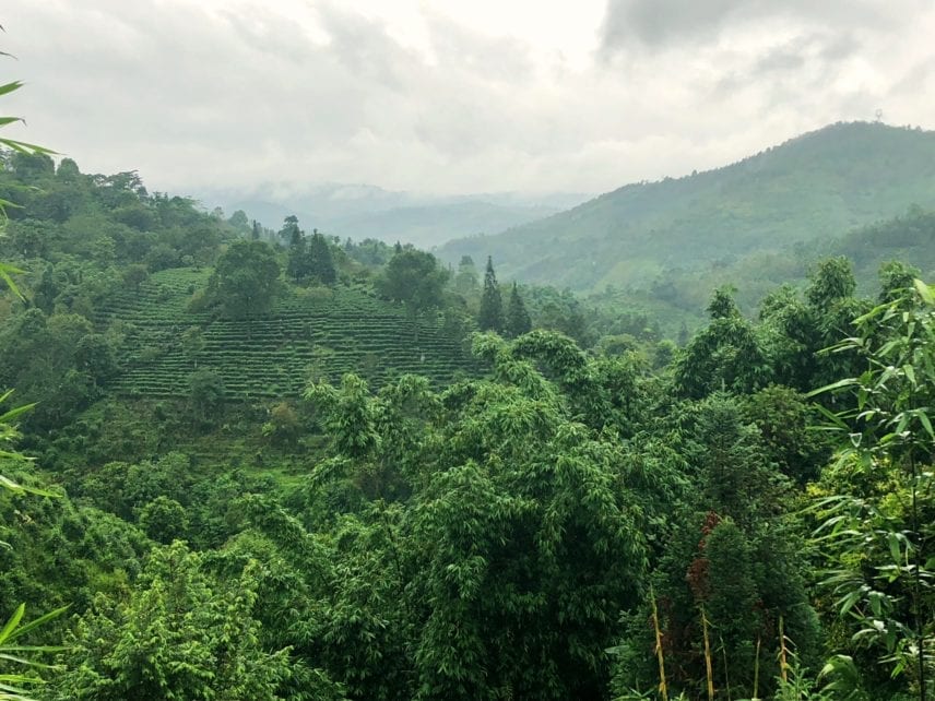 Yunnan China